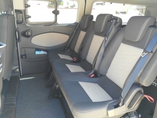 Eurotaxi-Niijar-Taxi-adaptado-Almeria-ford-custom
